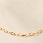 Nerina Paperclip Chain Necklace - Luzy Jewels